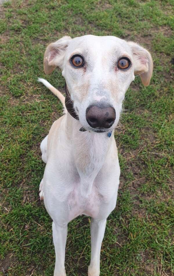 screenshot_20250224_115607_gallery